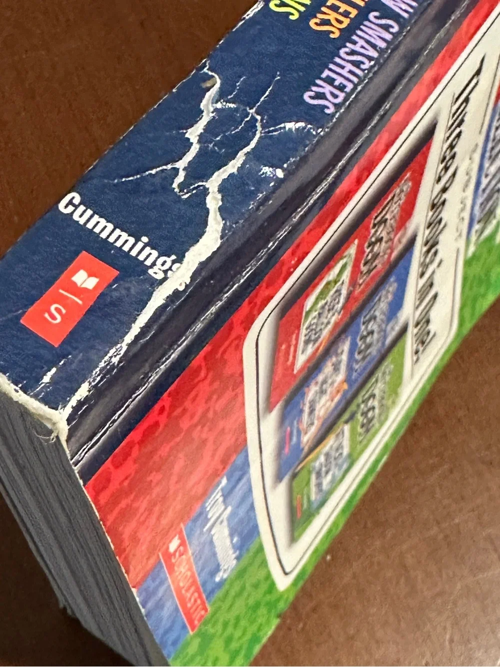 Kids Fiction Book Set - The Notebook of Doom - Omnibus - READ DESCRIP